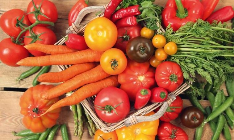 JESIENNA EDUKACJA ZDROWOTNA