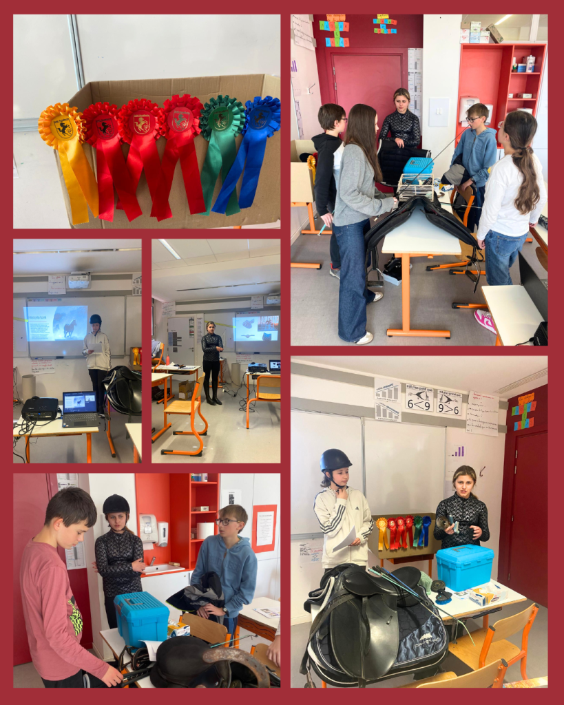 PREZENTACJA O JEŹDZIECTWIE